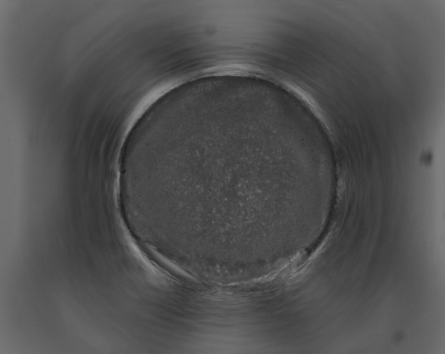 X0000091091418200708271247