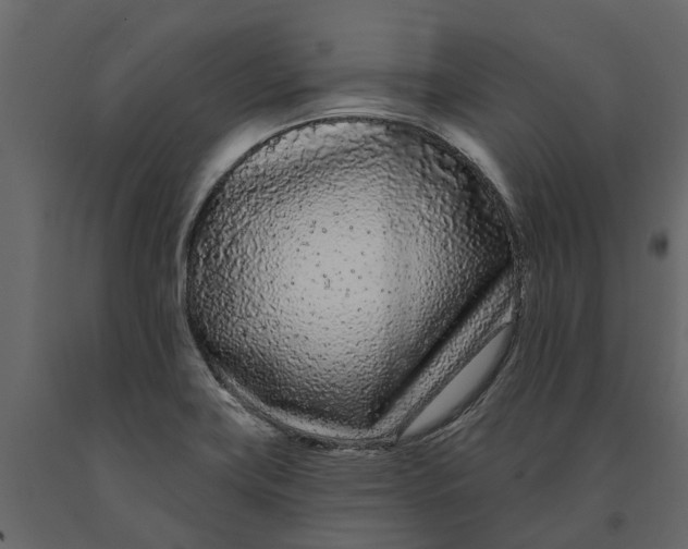 X0000091091419200708271247