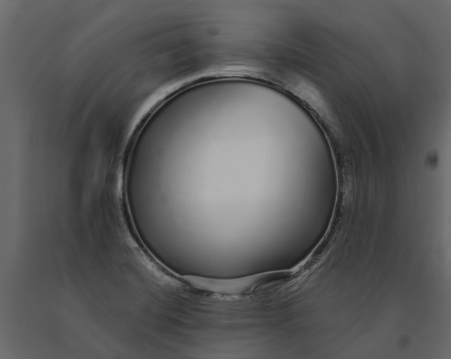 X0000091091420200708271247