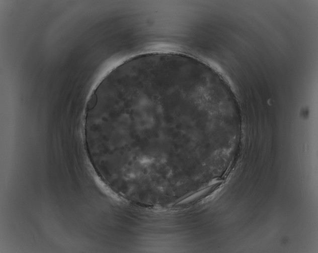 X0000091091421200708271247