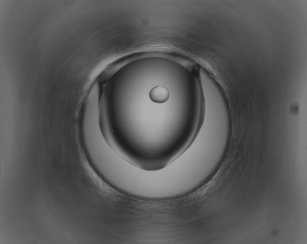 X0000091091422200708271247