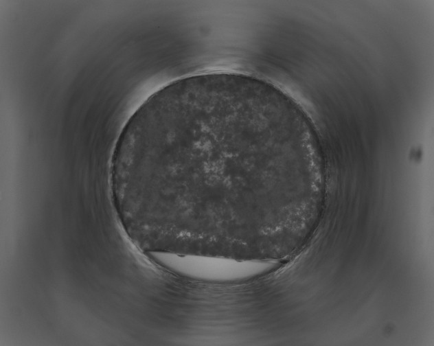 X0000091091423200708271247