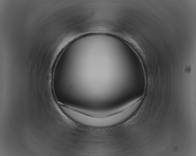 X0000091091424200708271247