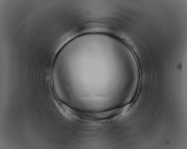 X0000091091425200708271247