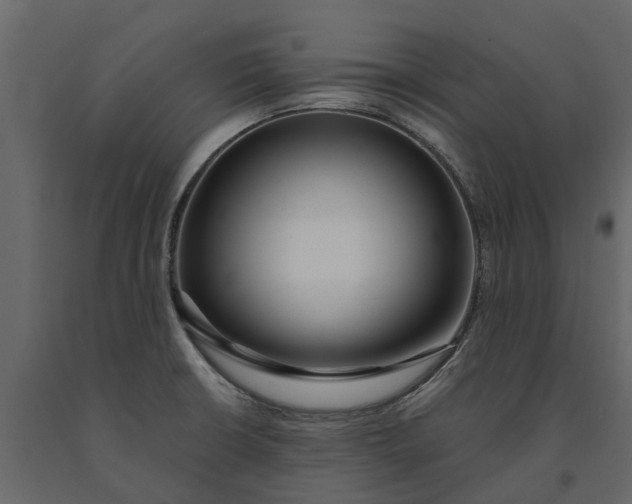 X0000091091426200708271247