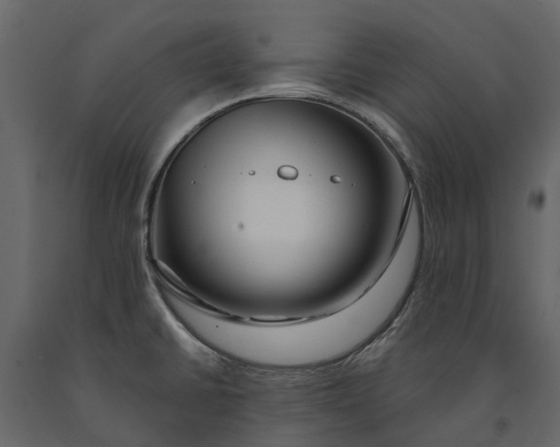 X0000091091430200708271247