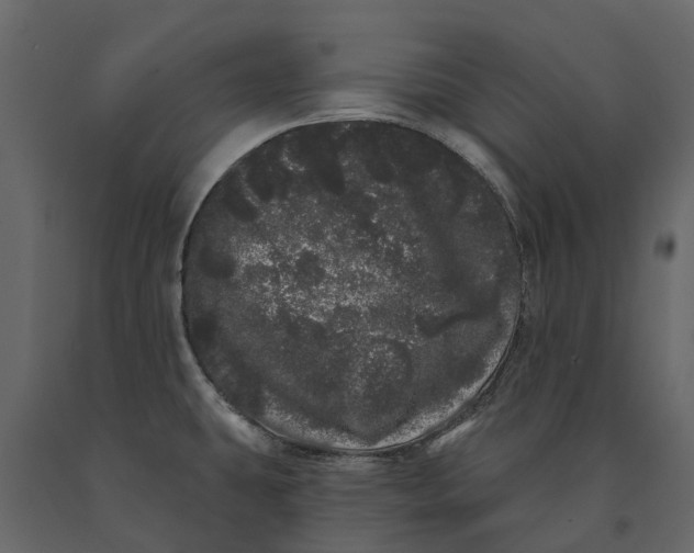 X0000091091431200708271247