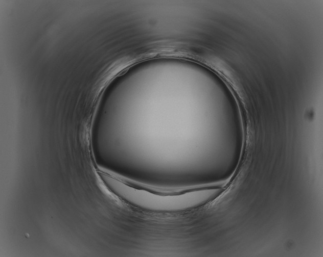 X0000091091433200708271247