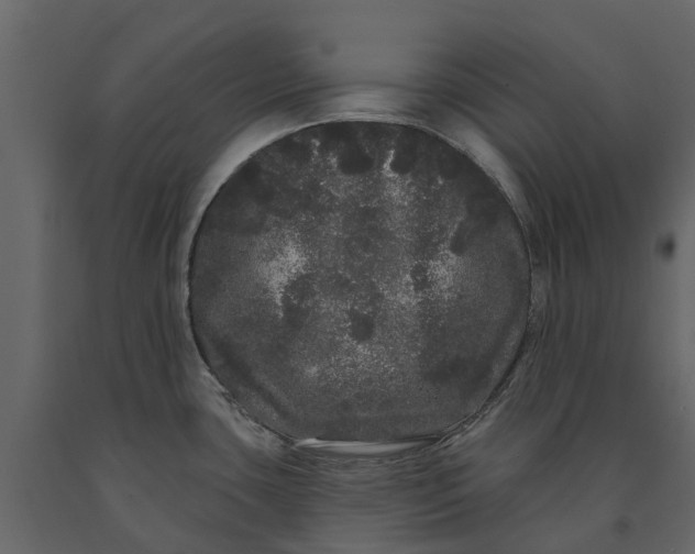 X0000091091435200708271247