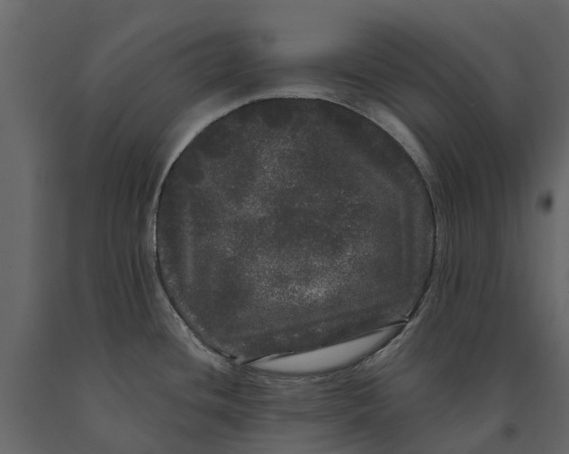 X0000091091436200708271247