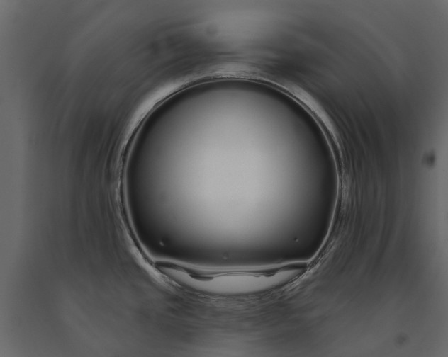 X0000091091437200708271247