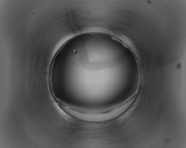 X0000091091438200708271247