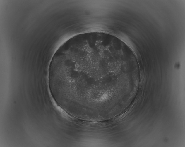 X0000091091439200708271247