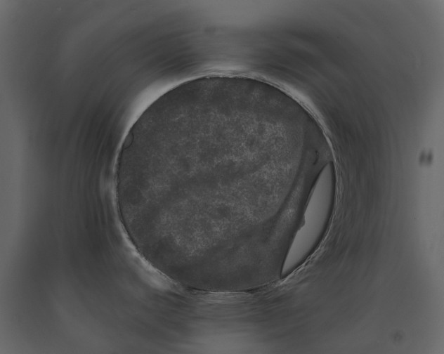 X0000091091440200708271247