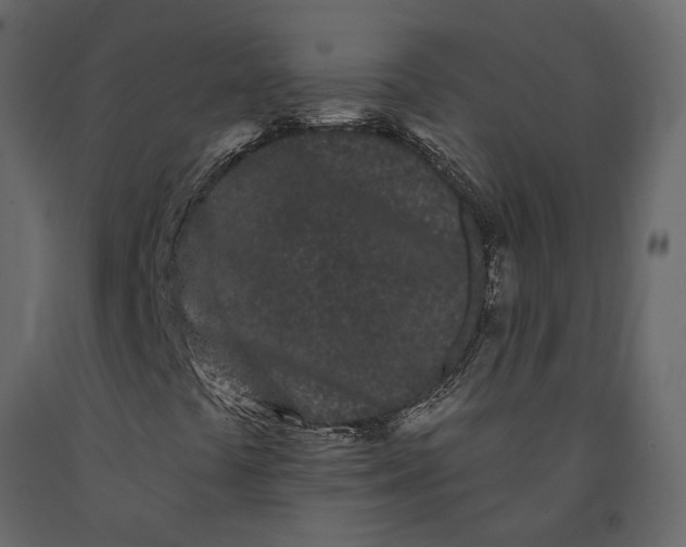 X0000091091441200708271246