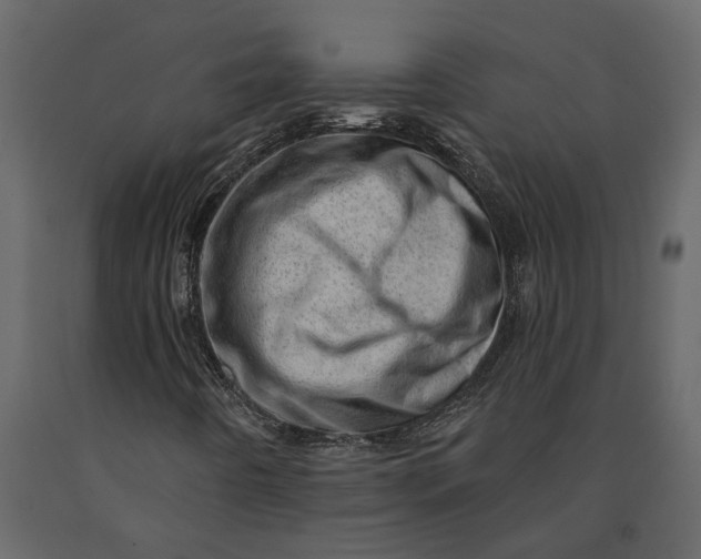 X0000091091442200708271246