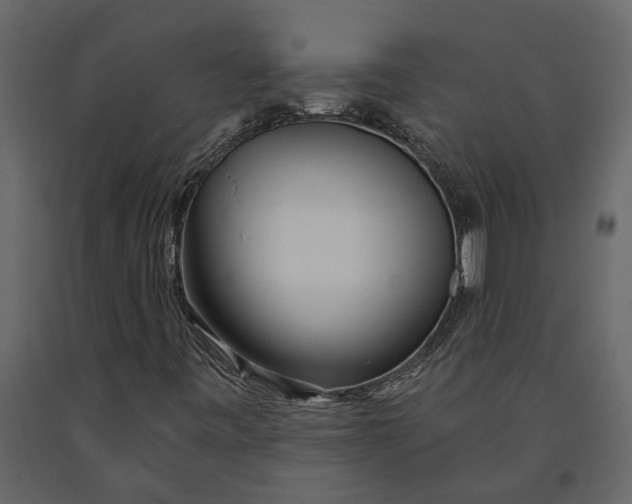 X0000091091443200708271246