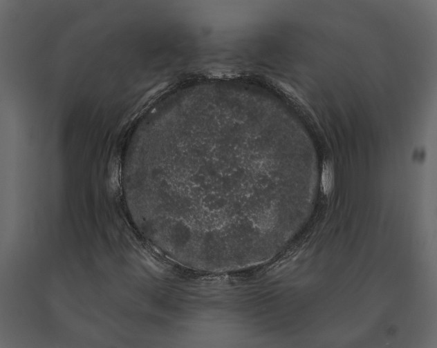 X0000091091444200708271246