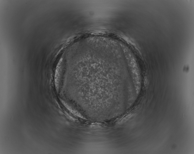 X0000091091445200708271246