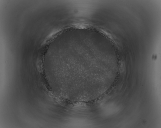 X0000091091446200708271246