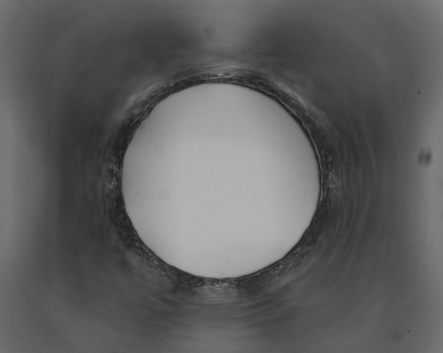 X0000091091447200708271246