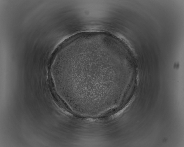 X0000091091449200708271246