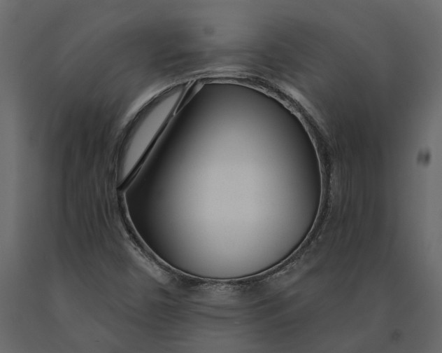 X0000091091450200708271246