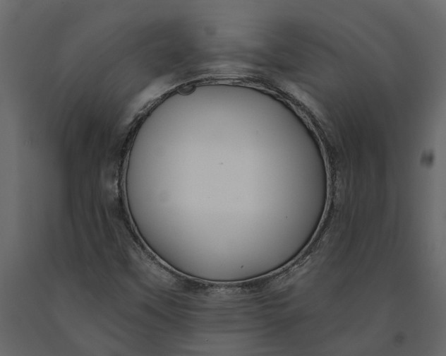 X0000091091451200708271246