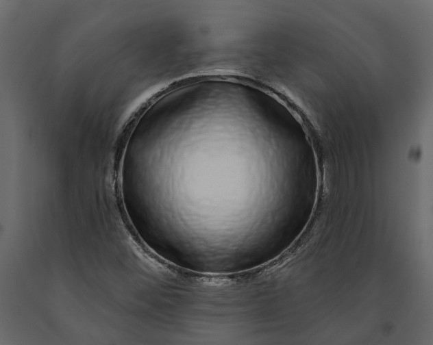 X0000091091452200708271246