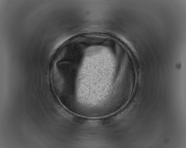 X0000091091453200708271246