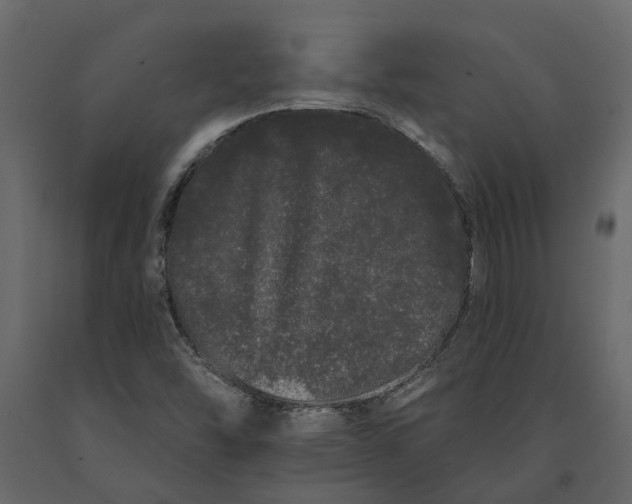 X0000091091454200708271246