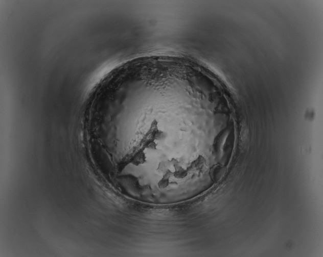 X0000091091455200708271246