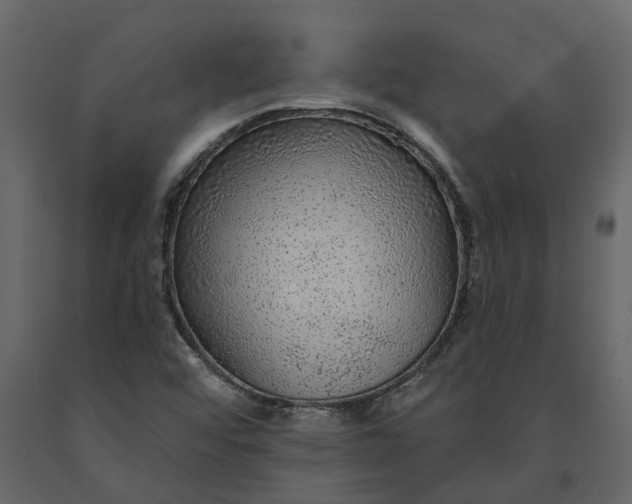 X0000091091456200708271246