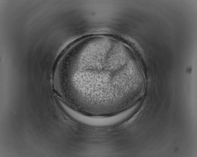 X0000091091457200708271246