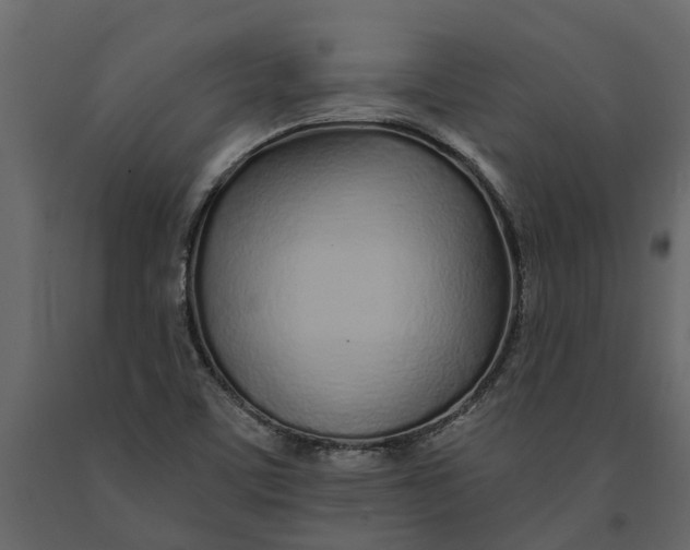 X0000091091459200708271246