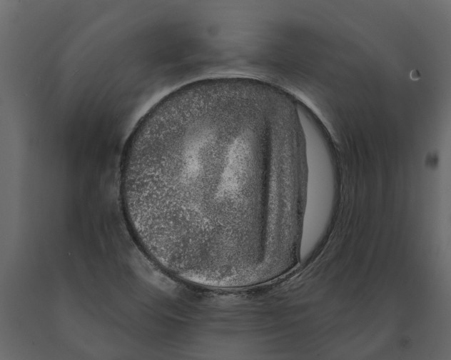 X0000091091460200708271246