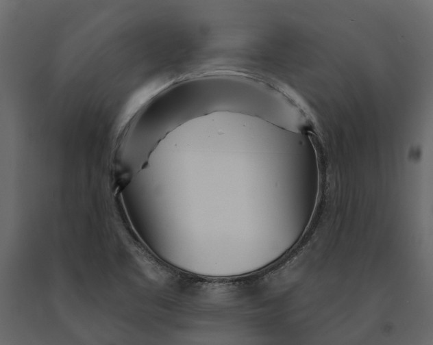 X0000091091461200708271246