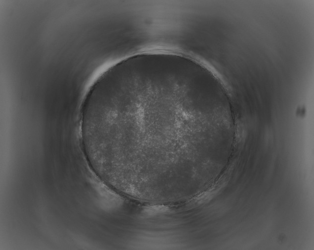 X0000091091462200708271246