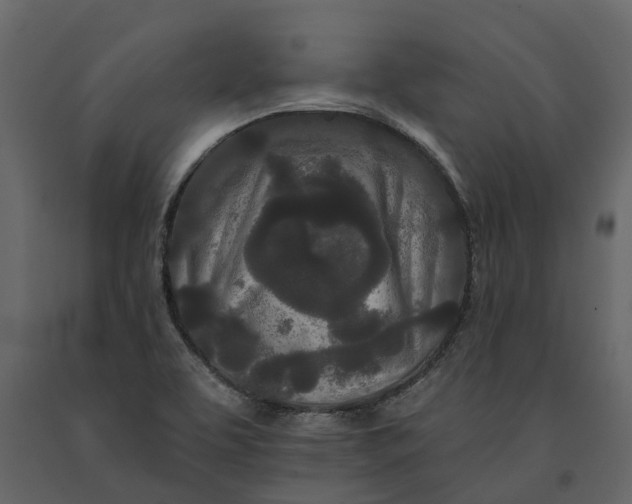 X0000091091463200708271246