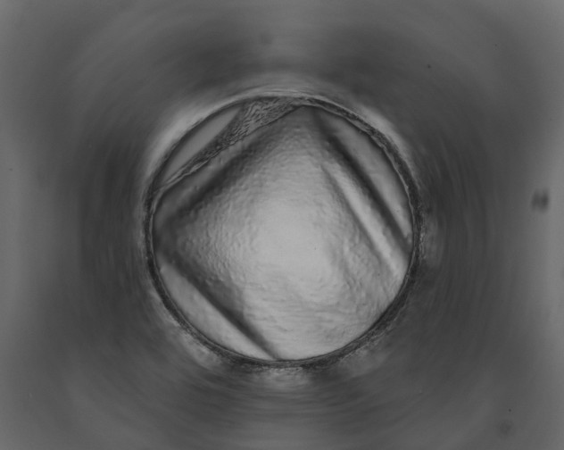 X0000091091464200708271246