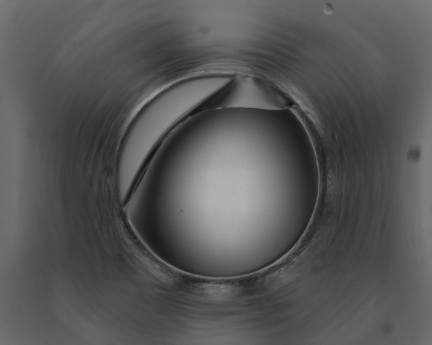 X0000091091465200708271246