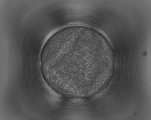 X0000091091466200708271246