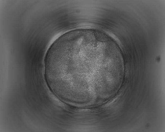 X0000091091467200708271246