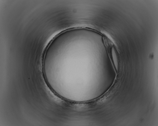 X0000091091468200708271246