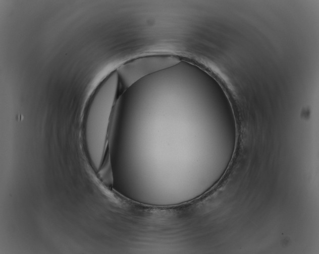 X0000091091469200708271246