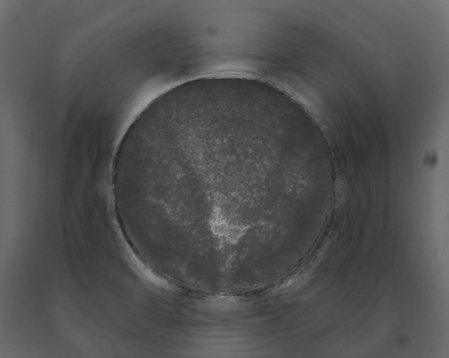 X0000091091470200708271246