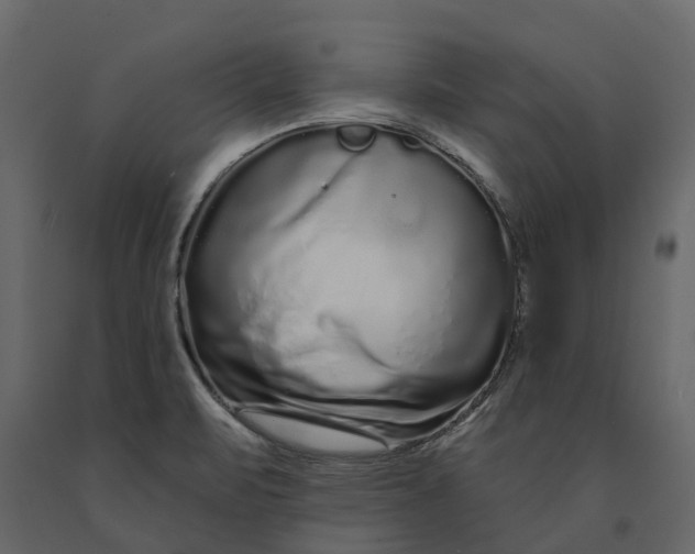 X0000091091471200708271246