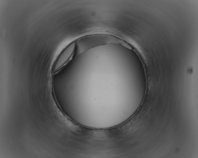 X0000091091472200708271246