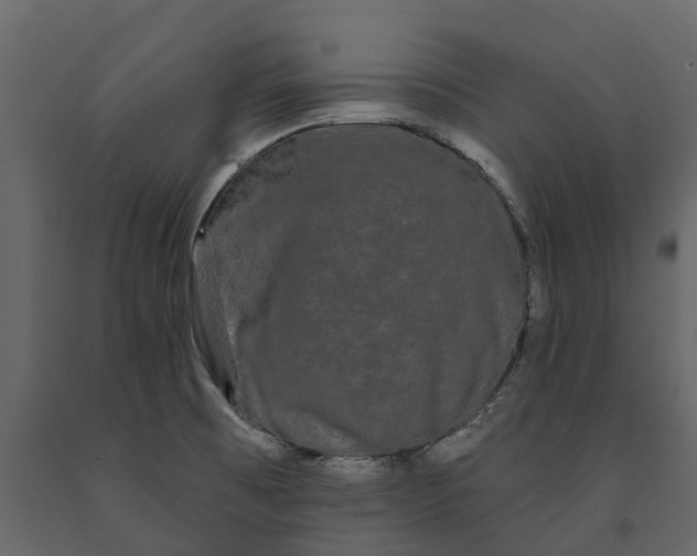 X0000091091473200708271246