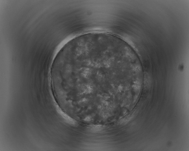 X0000091091474200708271246